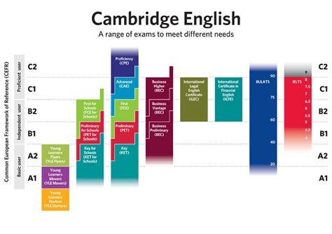 英語考試的級別解析：了解各級別的特點和要求