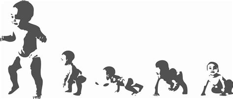 发展心理学基础