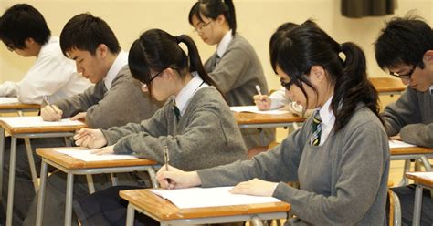 如何高效备考早教师资格考试判断题：策略与技巧