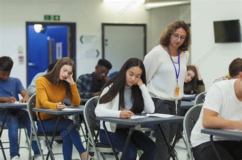 早教师考试全攻略：如何高效备考并顺利通过