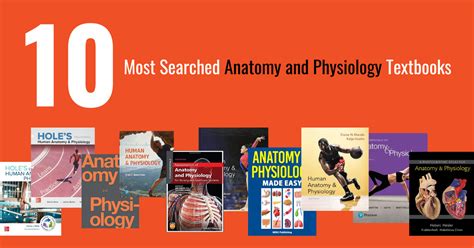 解剖学生理学教材