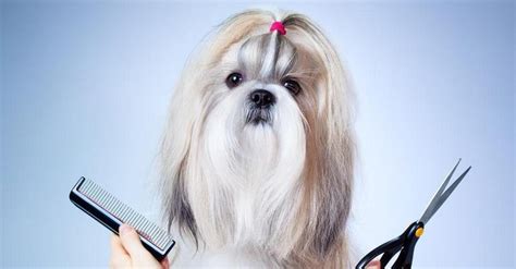 模具学徒期:掌握技能所需的时间解析