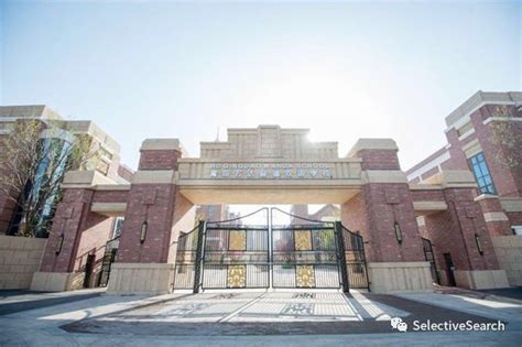 选择青岛电脑培训学校：为未来职业生涯铺路