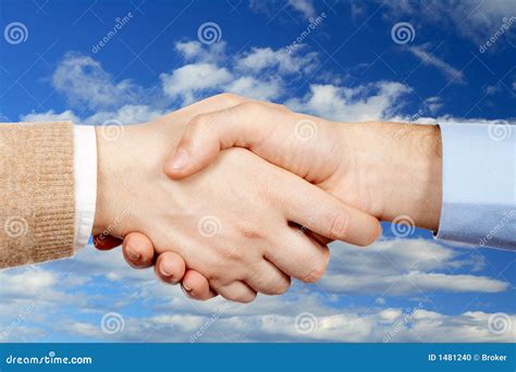 如何正确填写合作企业信息：一份全面指南