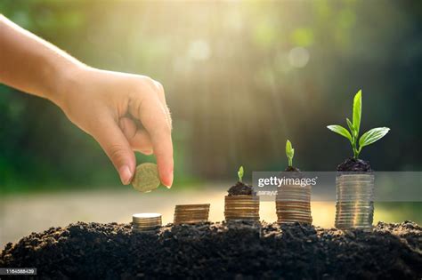 学习金融一年能赚多少钱？揭秘金融行业的收入潜力