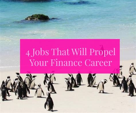 金融学专业就业前景分析：毕业后的工作机会丰富吗？