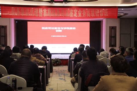 税务师协会官网:您的税务问题解决专家