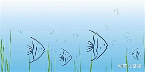 全面解析：资产评估师课程目录及其重要性