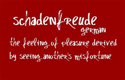 打开在“Schadenfreude”词条的德语字典