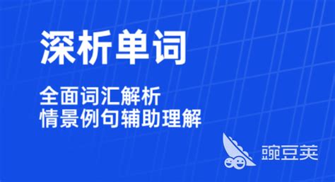 西班牙语学校软件：提升学习效率的智能选择