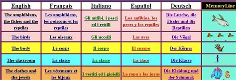 意大利语 西班牙语 词汇 相似度