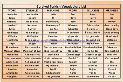 土耳其语教学：掌握一门新语言的关键步骤