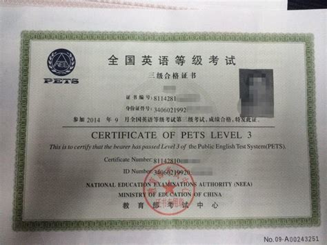 为什么很少人考PETS？揭秘英语能力评估的选择之谜