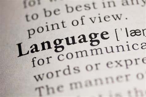 语法词典 内容 结构