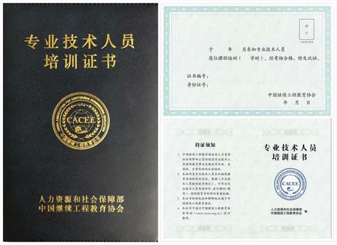 如何查詢職稱英語證書：一份全面指南