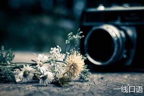 选择旅游英语学校:家长和学员必读指南