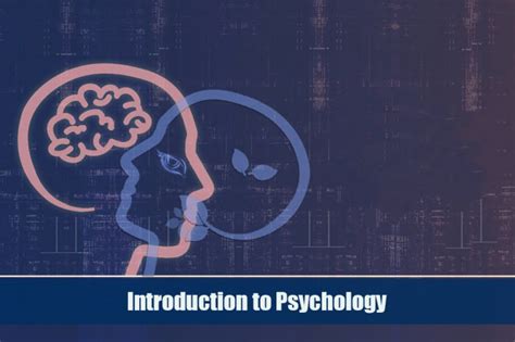 课程介绍与评价