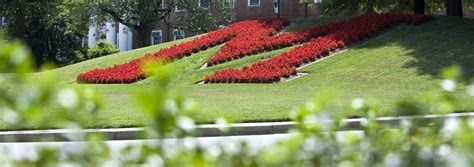 了解AEAS报名费：为您的孩子开启国际教育之门