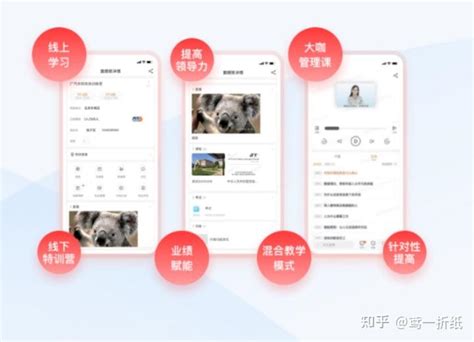 了解专设的销售机构：类型与功能解析