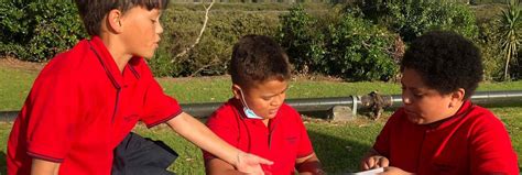 学员评价成功案例