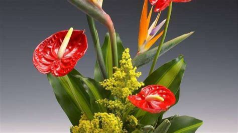 掌握插花艺术：基础教程与技巧指南