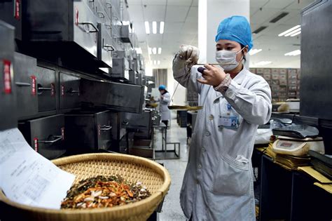 中医理疗机构概览：了解不同类型的中医疗养服务