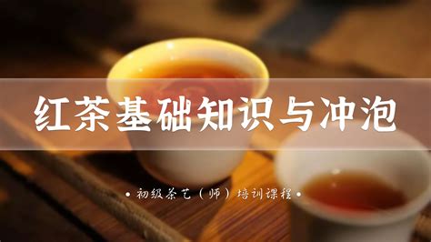 學習茶藝：視頻教程全集推薦