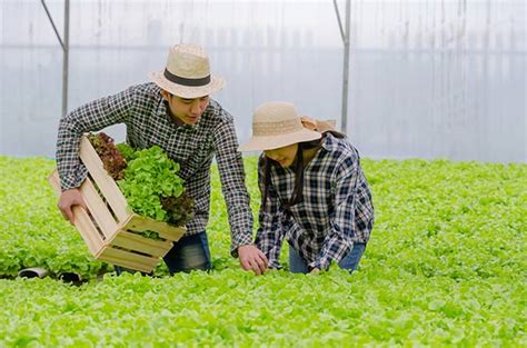 茶艺师资格证考试内容全解析：开启您的茶艺之旅