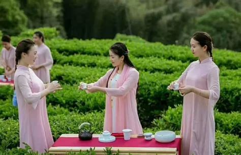 茶艺考试流程详解:为学员和家长提供全面指南