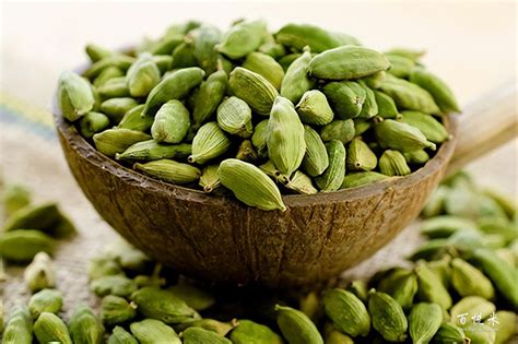 基础调酒技巧：学员和家长必读的入门指南