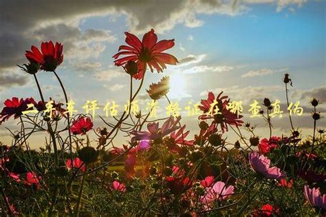 如何考取汽修资格证：家长和学员必读指南