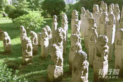 探索雕塑艺术：大学课程指南