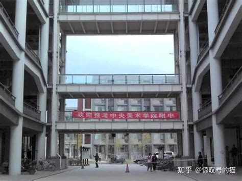 初中生如何成功考入美院附中：家长和学员必读指南