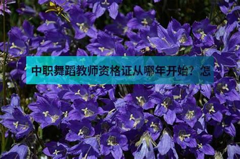 如何考取舞蹈教师资格证：一份全面指南