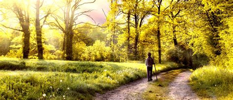 声音特点 柔和 温婉