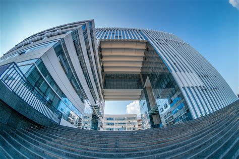 叶县鲁迅美术书法学校：培养艺术梦想的摇篮