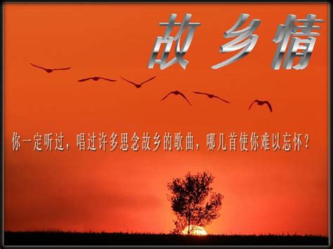 北京乐器培训班：培养音乐梦想的摇篮