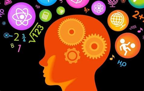 提升记忆力:了解记忆力机构及其服务