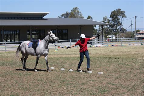 博雅研学营：开启孩子全面发展的新旅程
