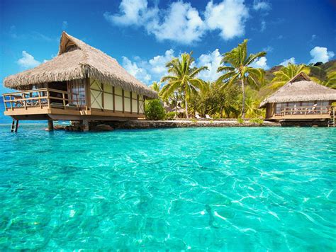 研学营课程设计存在的不足：家长和学员必读