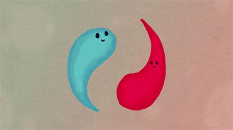 提升孩子未来竞争力：选择合适的情商培训课程