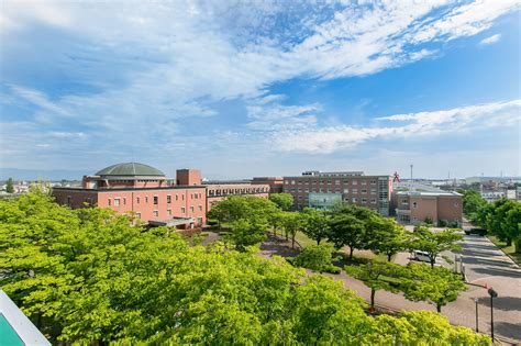探索日本留学：多样化课程等你发现