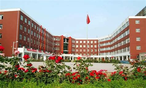 德国培训学校:为未来铺就成功之路