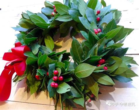 意大利留学考试内容全解析:为学员和家长提供必备信息