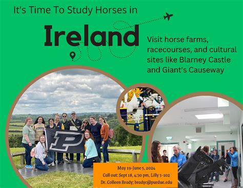 北欧留学回国后的价值分析：是金子总会发光吗？