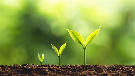 背景提升课程：开启学员未来成功之门