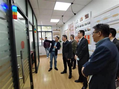 如何获取远程法律援助：指南与资源