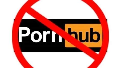 如何成功报名网上成人高考：家长和学员必读指南