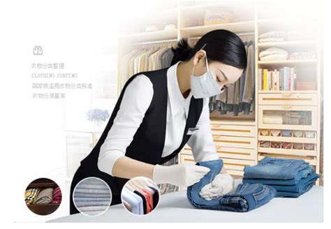 成为专业高级收纳师：全面培训指南