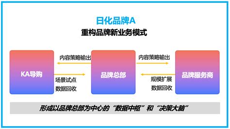 如何打造高效的运营部门：策略与实践